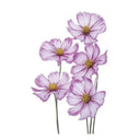 Temporary Rose Tattoo Set for Festivals