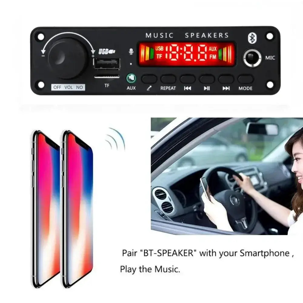 Bluetooth Amplifier Board Karaoke Microphone Car Audio
