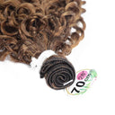 BOL Jerry Curly Ombre Blonde Synthetic Hair Extensions