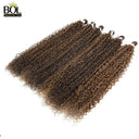 BOL Jerry Curly Ombre Blonde Synthetic Hair Extensions
