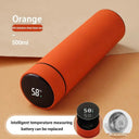 Bottle With Temp Display For Kids