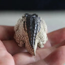 Tea Pet Decor for Serene Tea Ceremony