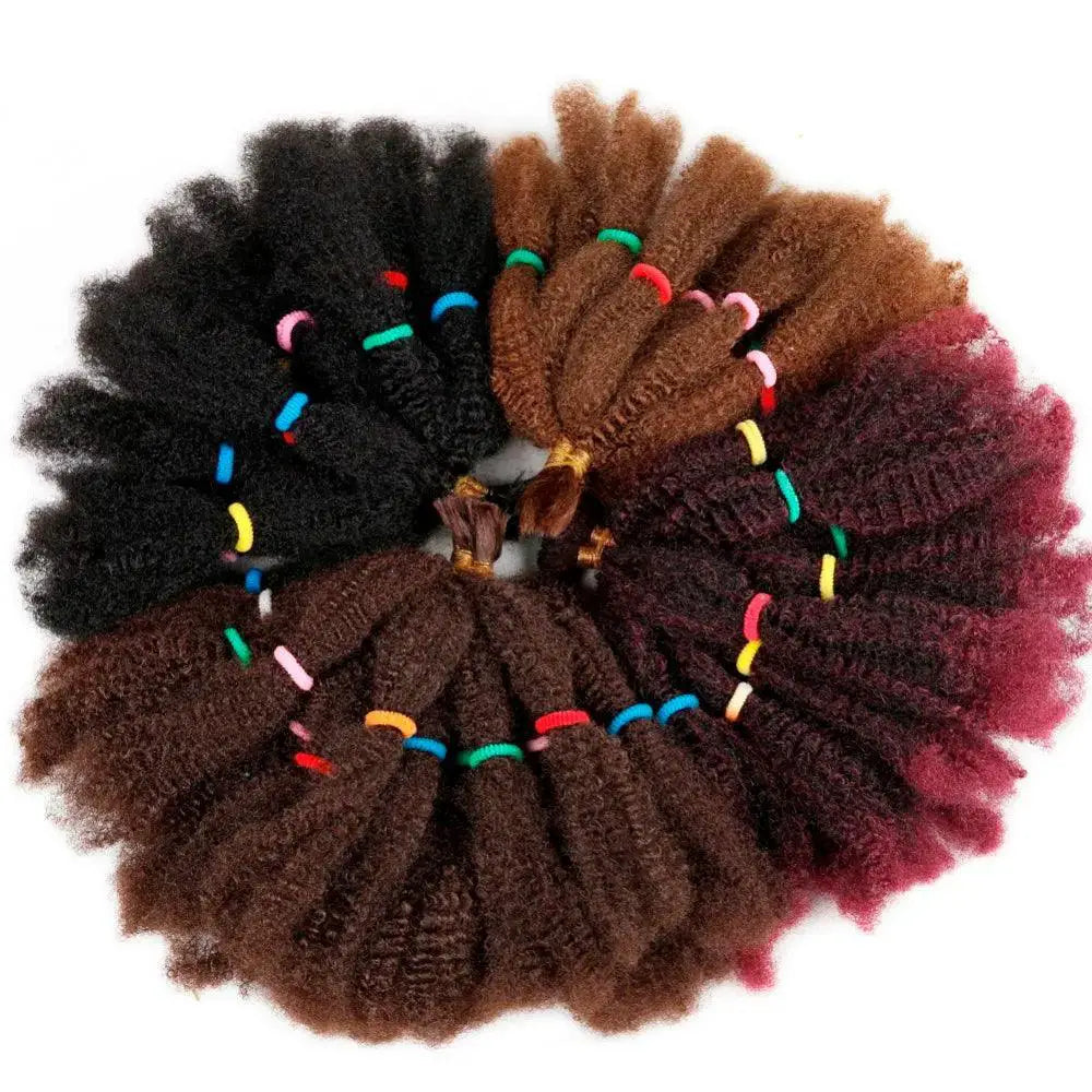 Braided Curly Afro Kinky Hair Extensions for Chic Styles