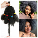 Braided Curly Afro Kinky Hair Extensions for Chic Styles