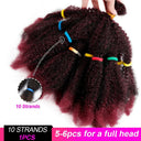 Braided Curly Afro Kinky Hair Extensions for Chic Styles