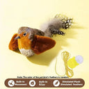 Bran Bird Squeaky Cat Toy for Indoor Fun