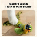 Bran Bird Squeaky Cat Toy for Indoor Fun