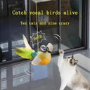 Bran Bird Squeaky Cat Toy for Indoor Fun