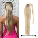 Brazilian Remy Ponytail Hair Extensions Straight Texture Hair