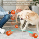 Active Play Jump Ball Toy for Puppies