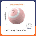 Active Play Jump Ball Toy for Puppies