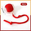Active Play Jump Ball Toy for Puppies