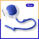 Active Play Jump Ball Toy for Puppies