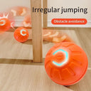 Active Play Jump Ball Toy for Puppies