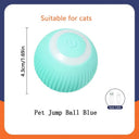 Active Play Jump Ball Toy for Puppies