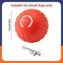 Active Play Jump Ball Toy for Puppies