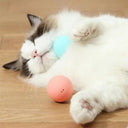 Active Play Jump Ball Toy for Puppies