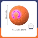 Active Play Jump Ball Toy for Puppies