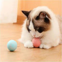 Active Play Jump Ball Toy for Puppies