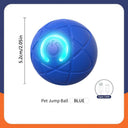 Active Play Jump Ball Toy for Puppies