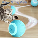 Active Play Jump Ball Toy for Puppies