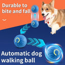 Active Play Jump Ball Toy for Puppies