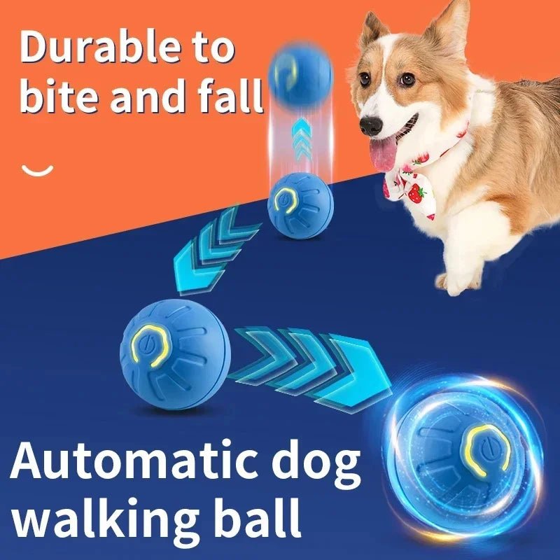 BrightPaws Jump Ball Toy - USB Charging Interactive Ball For Puppies And Kittens