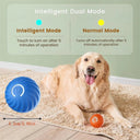 Active Play Jump Ball Toy for Puppies
