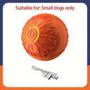 Active Play Jump Ball Toy for Puppies