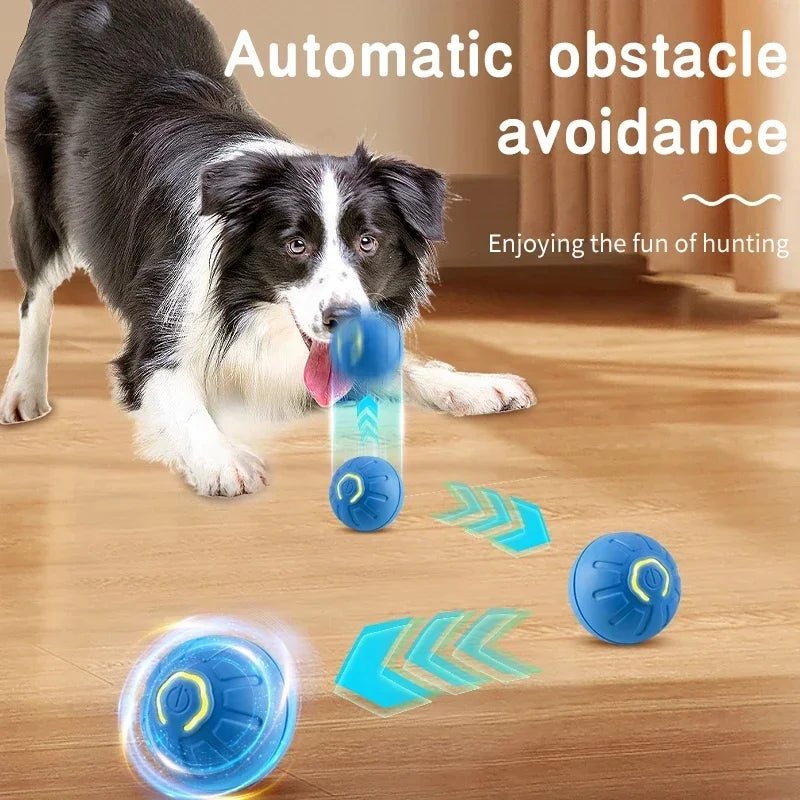BrightPaws Jump Ball Toy - USB Charging Interactive Ball For Puppies And Kittens
