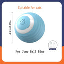 Active Play Jump Ball Toy for Puppies