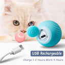 Active Play Jump Ball Toy for Puppies