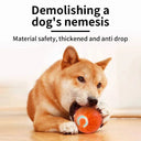 Active Play Jump Ball Toy for Puppies