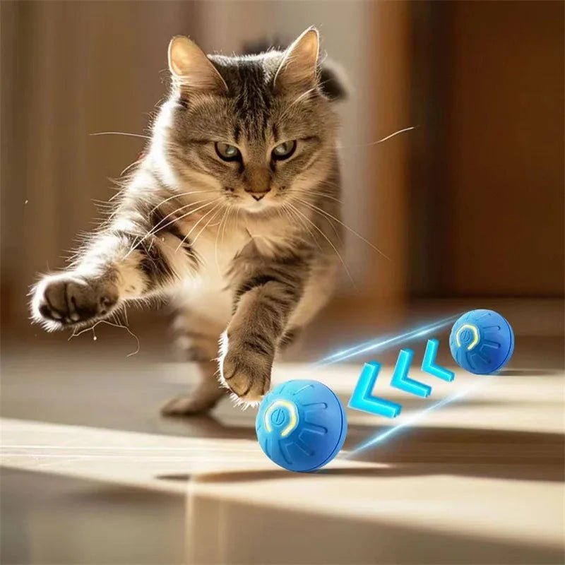 BrightPaws Jump Ball Toy - USB Charging Interactive Ball For Puppies And Kittens