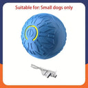 Active Play Jump Ball Toy for Puppies