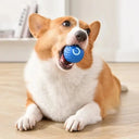 Active Play Jump Ball Toy for Puppies