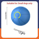 Active Play Jump Ball Toy for Puppies