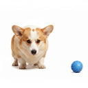 Active Play Jump Ball Toy for Puppies