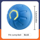 Active Play Jump Ball Toy for Puppies