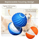 Active Play Jump Ball Toy for Puppies