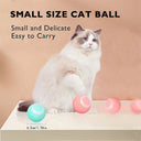 Active Play Jump Ball Toy for Puppies
