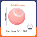 Active Play Jump Ball Toy for Puppies