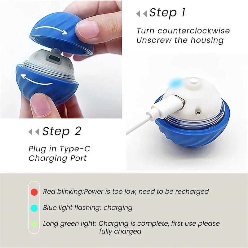 BrightPaws Jump Ball Toy - USB Charging Interactive Ball For Puppies And Kittens
