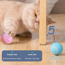 Active Play Jump Ball Toy for Puppies