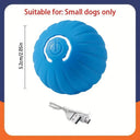 Active Play Jump Ball Toy for Puppies