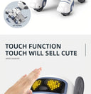 Robot Dog RC Toy For Kids 3 To 6 Music