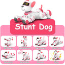 Robot Dog RC Toy For Kids 3 To 6 Music
