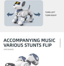 Robot Dog RC Toy For Kids 3 To 6 Music
