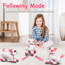 Robot Dog RC Toy For Kids 3 To 6 Music
