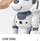 Robot Dog RC Toy For Kids 3 To 6 Music